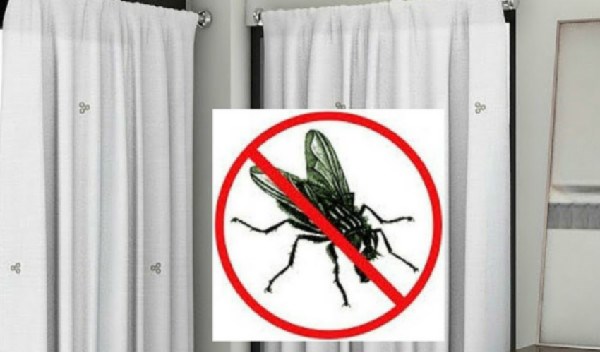 Tiras de plástico Control Insectos Mosquito Protección Mosca Cortina de pantalla de puerta de persianas